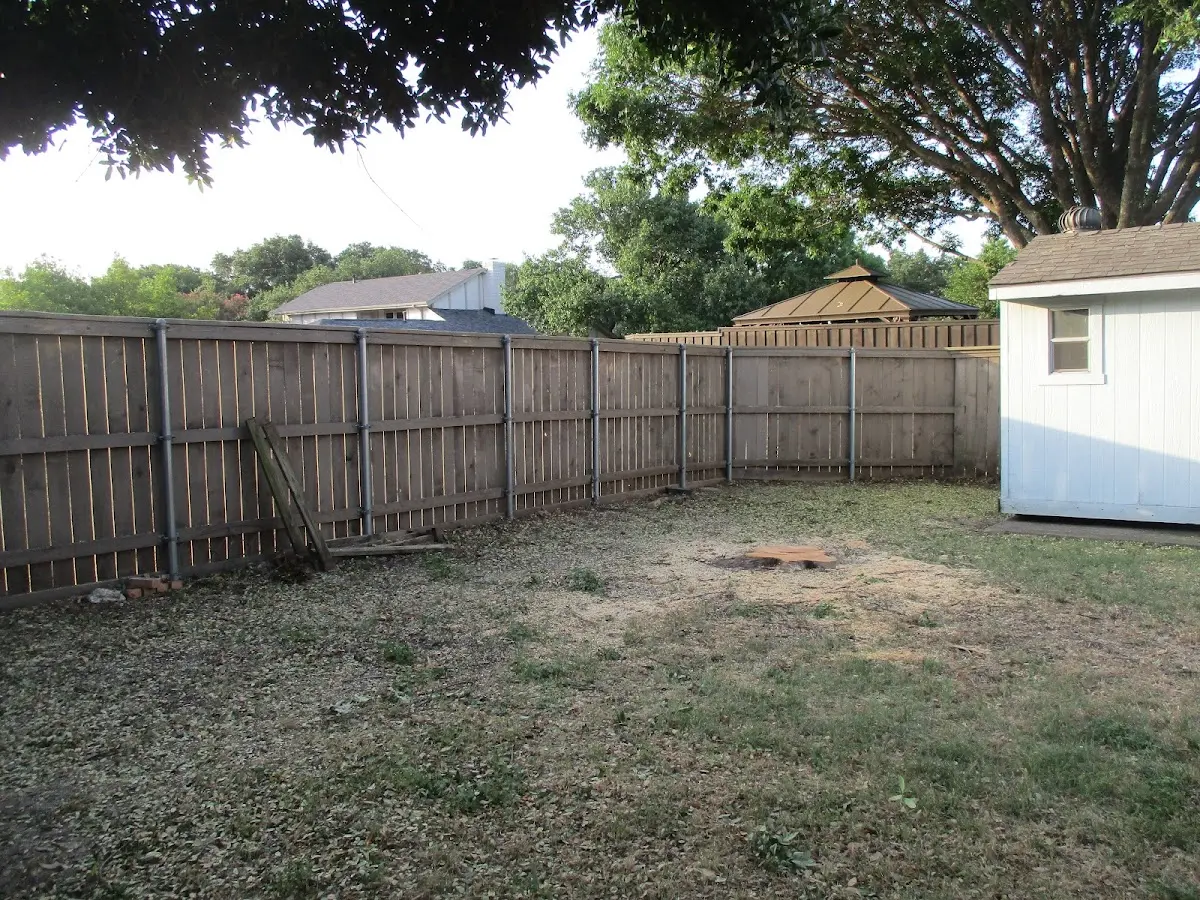 Cleared yard after professional tree removal in Middlebury Center